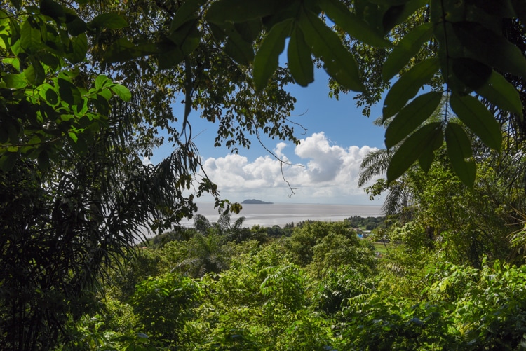Mont mahury vue estuaire